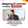 Jangan Sampe Nganggur, Sekarang Banyak Kesempatan Magang di Jerman. Gimana Caranya?
